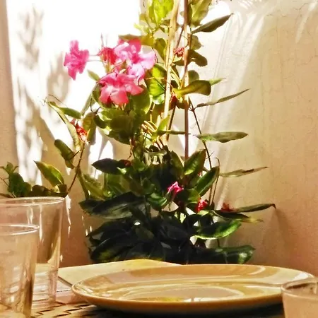 Casa Dos Angeles Chayofa